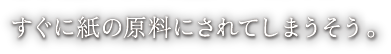 すぐに紙の原料にされてしまうそう。