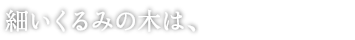 
			 細いくるみの木は