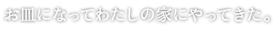 お皿になって私の家にやってきた