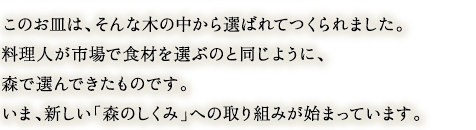 
このお皿は、そんな木の中から選ばれてつくられました。
料理人が市場で食材を選ぶのと同じように、森で選んできたものです。
いま、新しい「森のしくみ」への取り組みが始まっています。