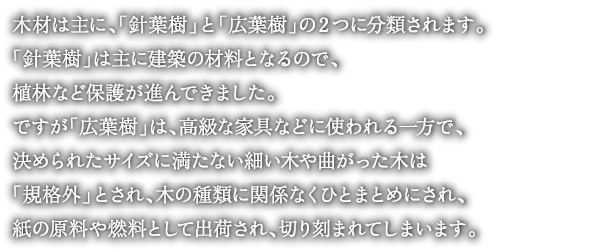 木材は主に、「針葉樹」と「広葉樹」の２つに分類されます。
「針葉樹」は主に建築の材料となるので、植林など保護が進んできました。
ですが「広葉樹」は、高級な家具などに使われる一方で、
決められたサイズに満たない細い木や曲がった木は「規格外」とされ、
木の種類に関係なくひとまとめにされ、紙の原料や燃料として出荷され、切り刻まれてしまいます。