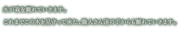 木が森を離れていきます。
これまでこの木を見守って来た、職人さん達の手からも離れていきます。