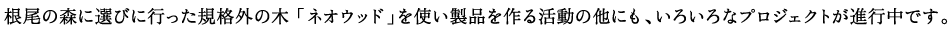 
根尾の森に選びに行った規格外の木「neowood」を使い製品を作る活動の他にも、いろいろなプロジェクトが進行中です。