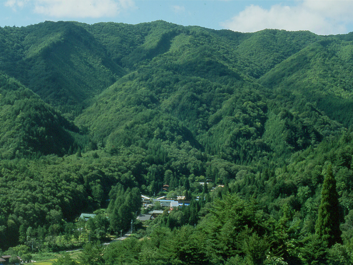 山林の購入(社有林化)とCo2ゼロ計画の進捗について› Oak Village